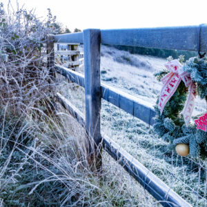 Yorkshire Dales Xmas pub walks