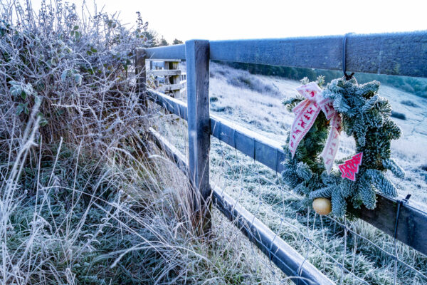 Yorkshire Dales Xmas pub walks