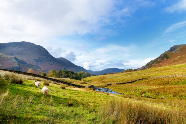 Ullswater way walk