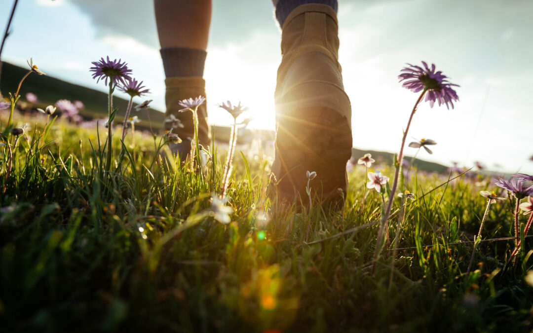 How Long Does the West Highland Way Take?
