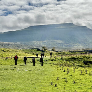 The Calf walk