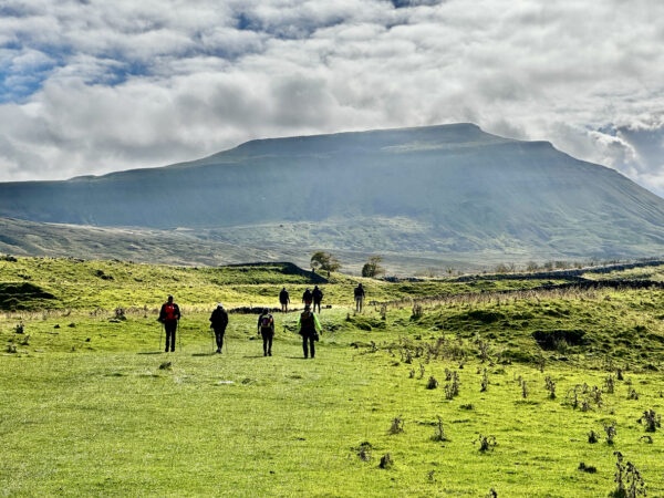 The Calf walk