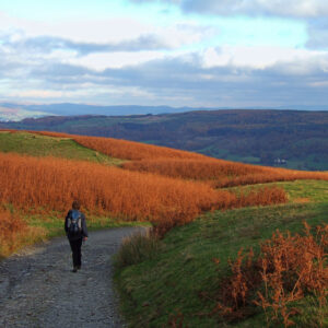 Lady Anne`s Way