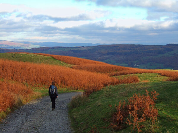 Lady Anne`s Way