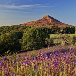 Roseberry Topping and Captain Cooks Monument from Newton Under Roseberry walk
